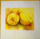 103 Zitronen, Orangen - 3-lagig - 35x35 cm